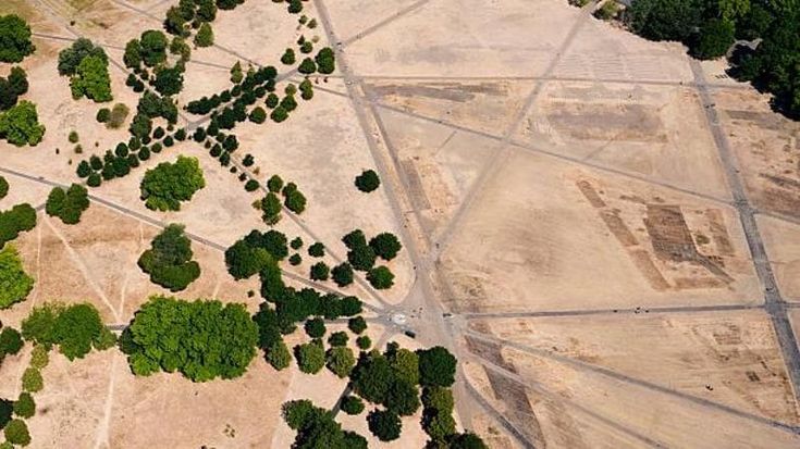 Niente più prati verdi ad Hyde Park. La siccità affligge persino Londra: parchi gialli e secchi