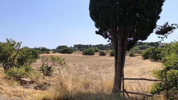 Semi di vita lascia il terreno di Japigia: dopo 11 anni addio all’orto sociale di Bari