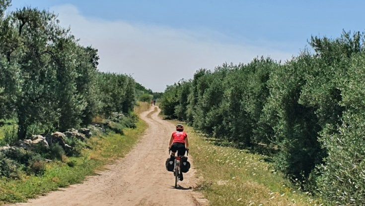 Ulvi secolari e mare, "Italia in Bici" racconta la grande bellezza della Puglia a pedali