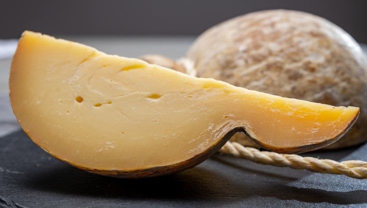 Frosolone: terra molisana del Caciocavallo Podolico