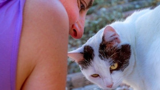 Un manifesto per l'amore dei felini di casa: "La religione 'gattolica' mette tutti d'accordo"