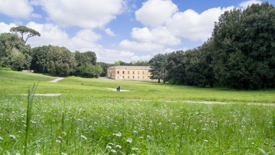 Un campo di rugby al Bosco di Capodimonte
