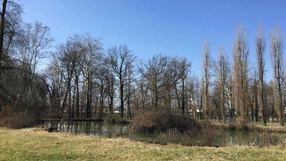 Colorno, riaprirà il boschetto del giardino della Reggia 