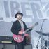 Pete Doherty salva un riccio e finisce in ospedale