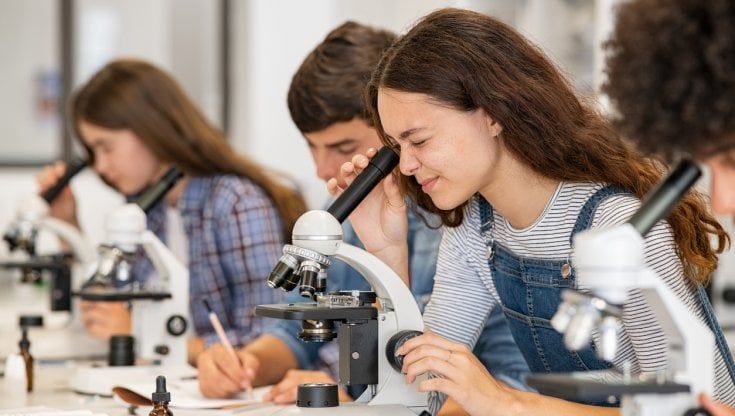 Amgen Scholars, tornano i laboratori scientifici per gli studenti universitari
