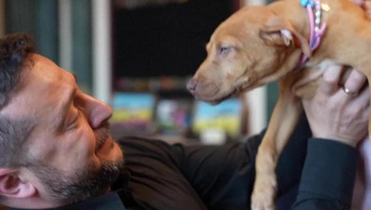 Kiev, il pugile regala a Zelensky una cagnolina: "Si chiama come il sistema di difesa, è di Bucha"