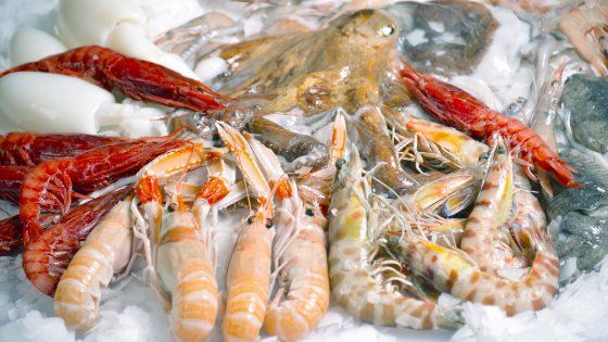Torino, rischia il processo il ristoratore che surgela i cibi senza farli passare dall'abbattitore 