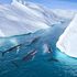Le balene giganti affamate stanno invadendo i ghiacciai sciolti della Groenlandia
