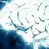 Alzheimer, nel mirino della medicina di precisione 