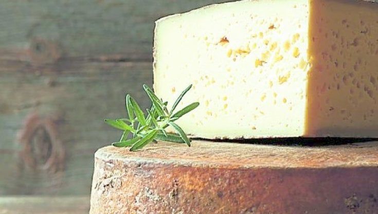 Il museo del formaggio, ultimo spreco alla siciliana