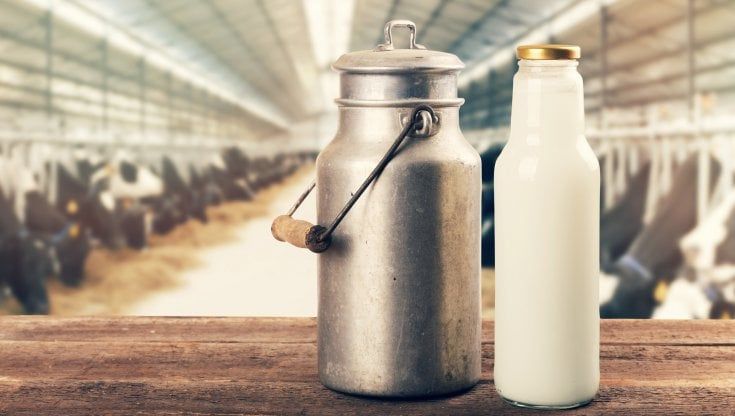 Latte, broccoli e nocciole: una dieta bilanciata protegge le ossa 