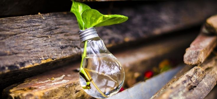 Rifiuti, le buone idee messe in Comune