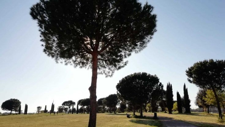  Centocelle, una passeggiata nel parco archeologico: “Tra reperti storici e rifiuti tossici”