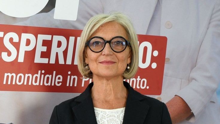 Pd, la scienziata Luisa Torsi e la nuova sfida dopo la sconfitta a Bari: "La politica mi piace, non chiuderò le porte"