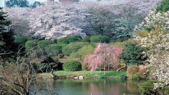 L’esperienza del Giappone tutta in un hotel di Tokyo