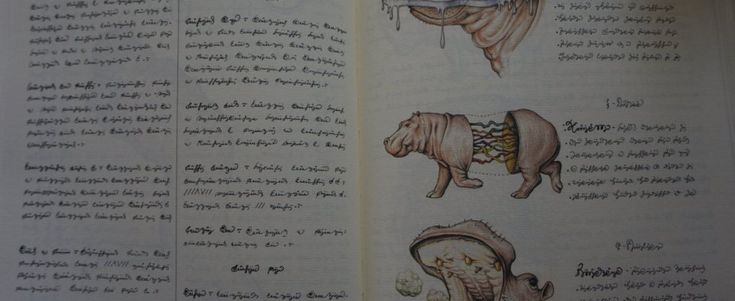 La nuova vita del Codex Seraphinianus, il libro più strano del mondo