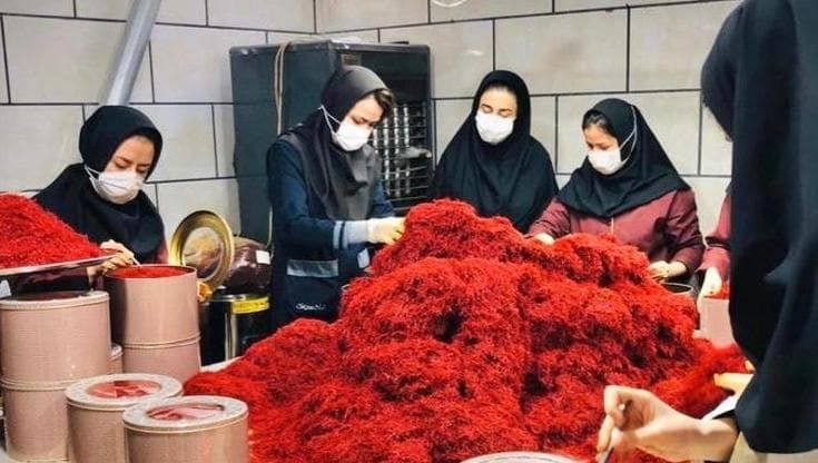 Lo zafferano iraniano nelle mense lombarde. Mahsa Mehrnam: “Non siamo sottomesse ai mariti”