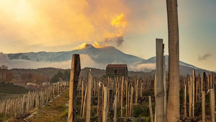 La trilogia del Carricante per rendere omaggio ai vini bianchi dell’Etna