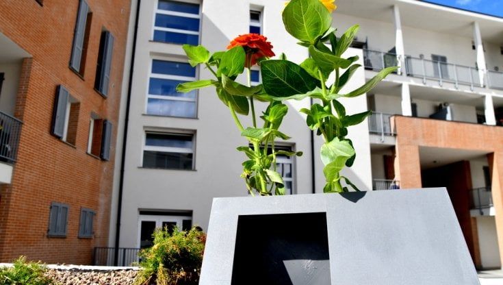 Firenze, vasi domotici per abbellire Le Piagge, al via il crowdfunding