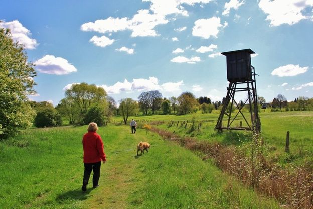 Camminare, la routine perfetta