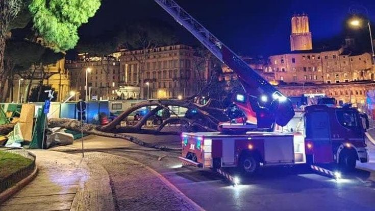 Crolla un altro albero ai Fori, dossier dei vigili urbani ai pm: “Tredici casi in due giorni”