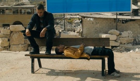 Oscar, dal Belgio alla Palestina i quattro "rivali" dell'Italia