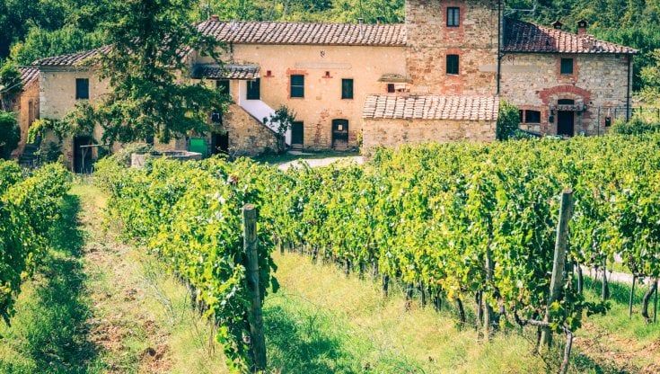 Voglio andare a vivere in campagna: il sogno del 20% degli abitanti delle città 