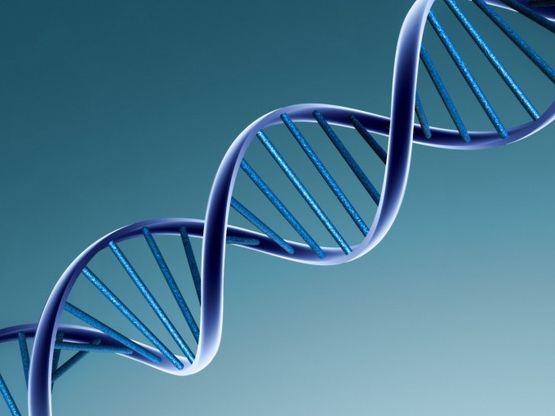 Ricercatori italiani scoprono un gene che causa la Sla