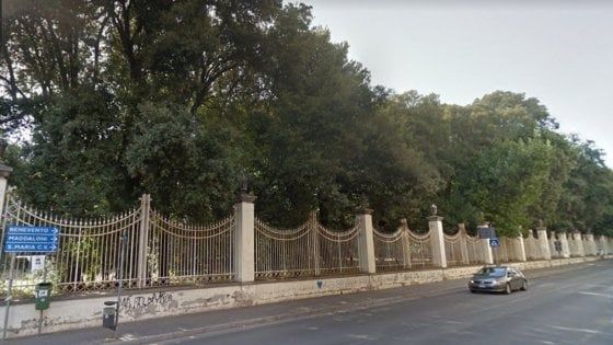 Caserta, la direzione della Reggia avvia una verifica sulla stabilità degli alberi