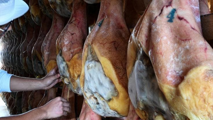 Il prosciutto che si affina grazie a vento alpino e brezza adriatica