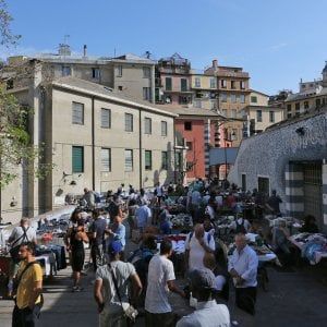 Monsignor Zuppi: "Dalla politica ci aspettiamo che fermi le guerre tra poveri e non che attacchi i profughi" 
