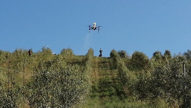 Droni impollinatori alleati dell'agricoltura toscana