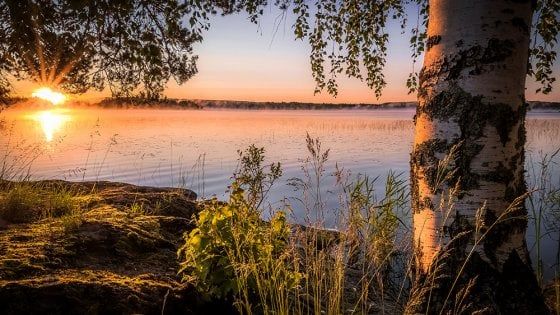 Vuoi essere felice? Affitta un finlandese. Il Paese nordico insegna come ritrovare la calma interiore: bastano tre giorni 