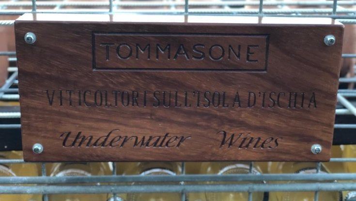 Ischia, 500 bottiglie sotto i mari: nasce la cantina “sommersa” targata Tommasone