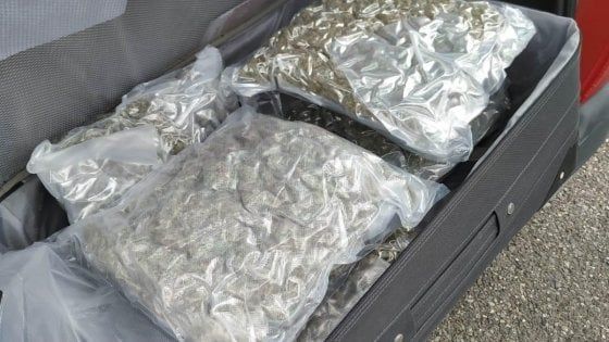 Bologna, la polizia scova 56 kg di marijuana