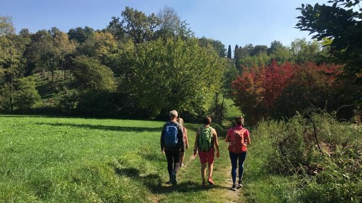 Le strade di Lombardia: a spasso nei secoli per le vie dei pellegrini. Ecco la guida di Repubblica