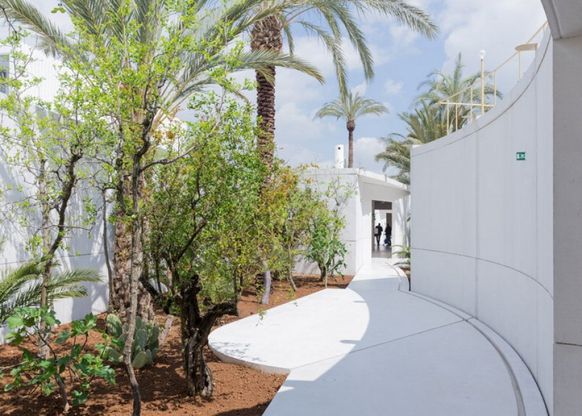 Expo, che fine faranno? L'Eden del Bahrain sarà un giardino botanico