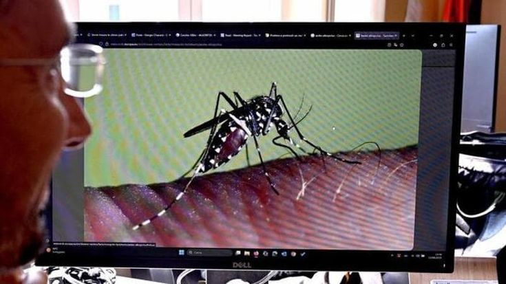 Riecco le zanzare, il vademecum dello Spallanzani: “Repellente in tasca, ormai sono qui da dicembre”