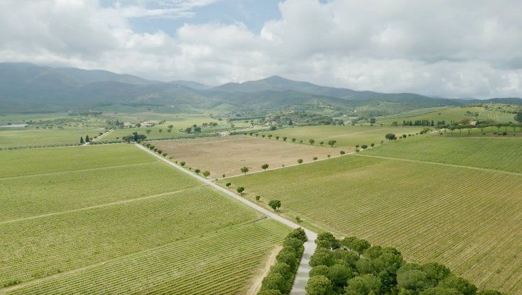 Road to Green&Blue Festival 2024: in onda il documentario “I sentieri della sostenibilità”