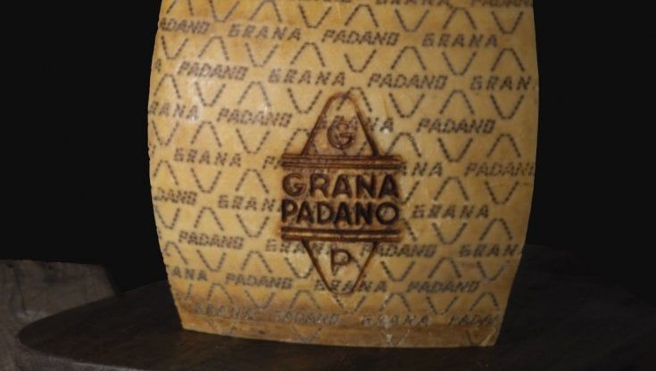 Grana Padano Dop: secondo la scienza è un alleato contro la carie