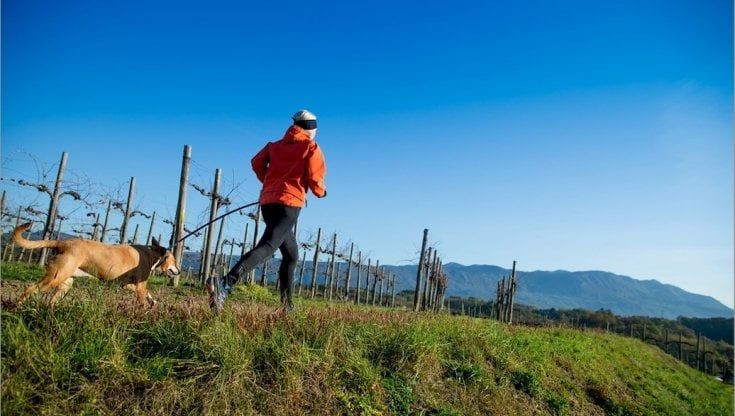 Viaggi all'insegna dell'enoturismo: le dieci esperienze più richieste