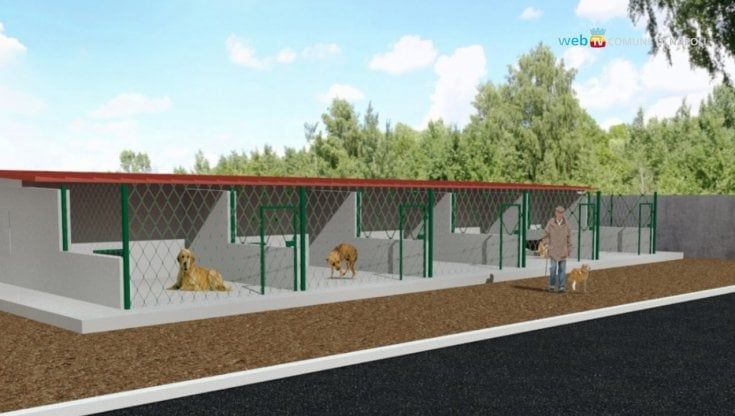 Napoli, lunedì l'inaugurazione del nuovo centro comunale accoglienza cani