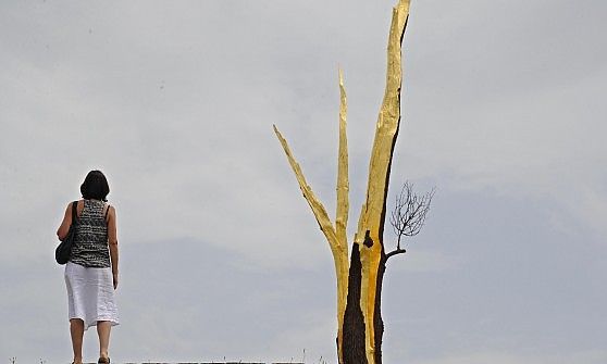 "Gli alberi, sculture perfette". Penone al Forte e Boboli