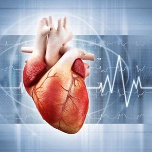 Cardiotossicità, come proteggere il cuore da chemioterapia e altri farmaci anti-tumorali