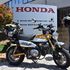 Da Reggio Calabria a Capo Nord con la piccola Honda Monkey