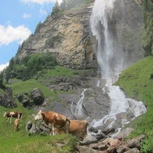 Mangiare meglio per bere meno, anche così salviamo l'acqua