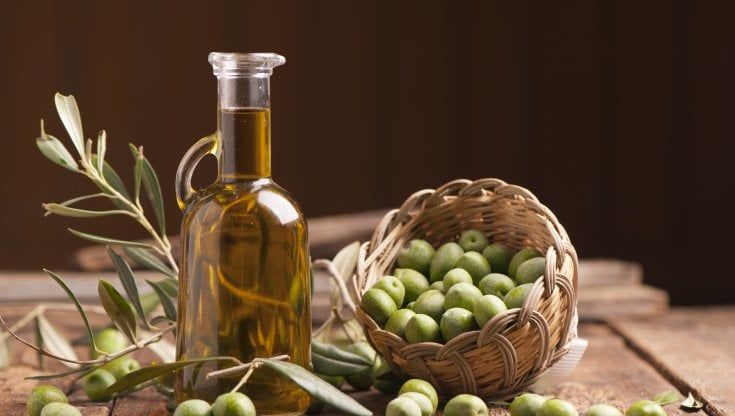 Olio, l'Italia torna a essere il secondo paese produttore al mondo