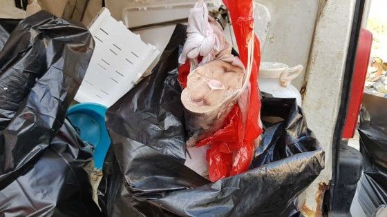 Palermo, getta nel cassonetto gli scarti di una pescheria: denunciato