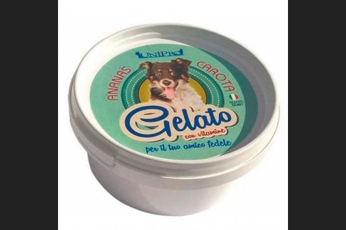 Idee Utili E Refrigeranti Per Proteggere Il Tuo Amico A