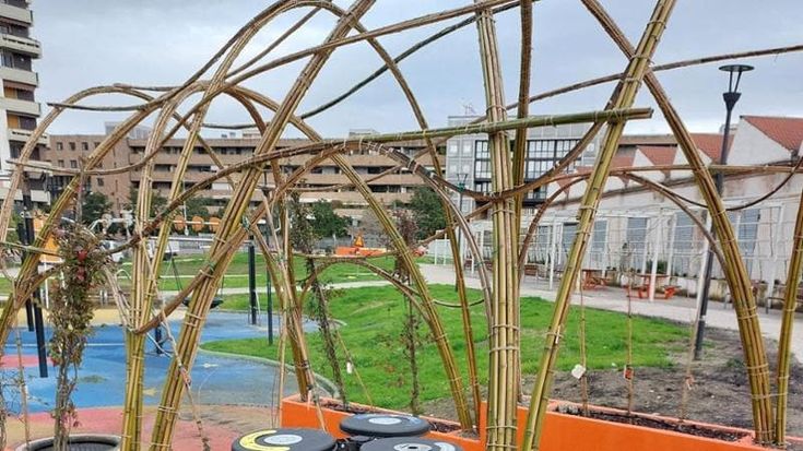 Raccolta differenziata nei giardini di Firenze: in arrivo i nuovi cestini in dieci aree verdi
